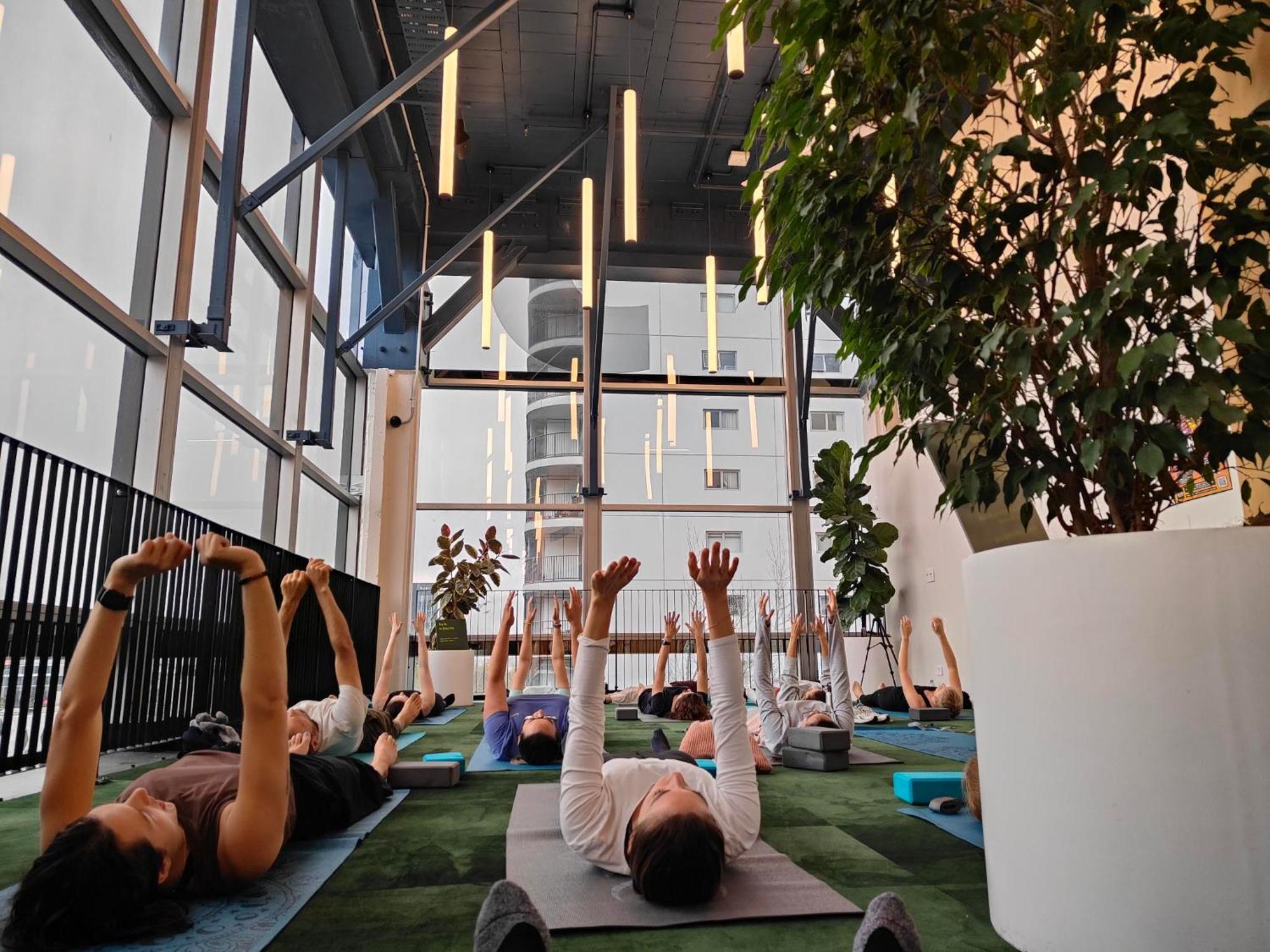 Lylo Auckland Hotel Ngoại thất bức ảnh A yoga class at the Googleplex